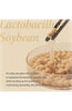 mixsoon Soybean Milk Pad  1Pcs,1Box(10Pcs) - Palace Beauty Galleria