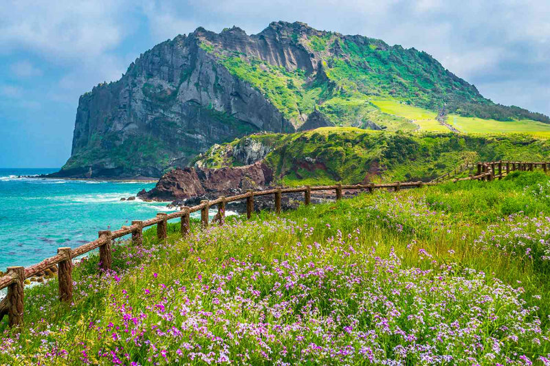 A Guide to the 11 Best Things to Do on Jeju Island