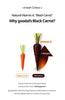 Goodal Black Carrot Vita-A Retinol Firming Ampoule 30Ml - Palace Beauty Galleria