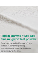 Isntree Mugwort Calming Powder Wash 15G - Palace Beauty Galleria