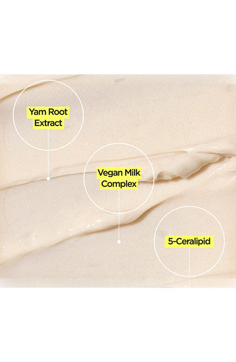 Isntree - Yam Root Vegan Milk Cream 80Ml - Palace Beauty Galleria