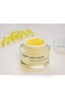 CNP Laboratory Propolis Ampule Oil In Cream - Palace Beauty Galleria