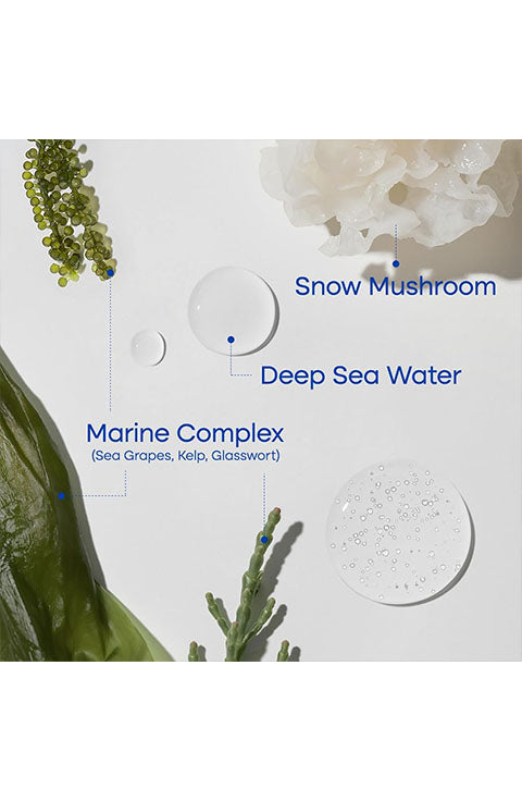 PURITO Deep Sea Droplet Seurm / 1.01 Fl Oz - Palace Beauty Galleria