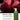 [TEAOVE] Hibiscus Volume Shampoo (750ml/25.3fl.oz)