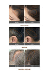TS Hair Cover Stick - Ash Black , Natural Brwon - Palace Beauty Galleria