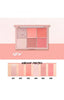 Clio Pro Blusher Palette 2 Color - Palace Beauty Galleria