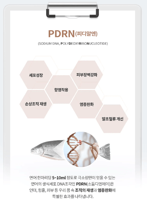 LA CHOMB] Lafin Complete Renew Cream – Palace Beauty Galleria