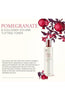 THE FACE SHOP Pomegranate & Collagen Skincare Set - Palace Beauty Galleria