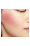 ANNA SUI Sponge Cheek Color - 4Color - Palace Beauty Galleria