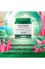 BIOHEAL BOH Panthenol Cica Blemish Cream Double Pack(75Ml x 2Ea) - Palace Beauty Galleria