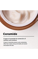 ma:nyo Bifida Biome Concentrate Cream Facial Moisturizing Cream - Palace Beauty Galleria