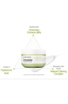 Bring Green Artemisia Calming Water Cream 75ml 2-for-1 Set - Palace Beauty Galleria