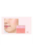 Paul & Joe Pressed blush refill - 10 Color - Palace Beauty Galleria