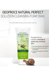 Deoproce Natural Perfect Solution Cleansing Foam -3Style - Palace Beauty Galleria