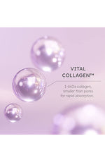 ISA KNOX Age Focus Vital Collagen Cream Set - Palace Beauty Galleria