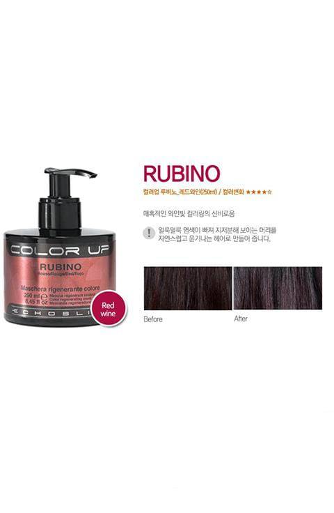 ECHOSLINE Color Up Hair Coating Treatment 250ml - Palace Beauty Galleria