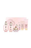 The History of Whoo Gongjinhyang Soo Sepcial Set - Palace Beauty Galleria